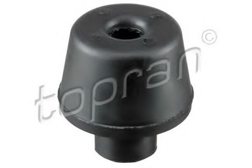 Suport radiator RENAULT SYMBOL I (LB0/1/2) (1998 - 2008) TOPRAN 700 812 piesa NOUA