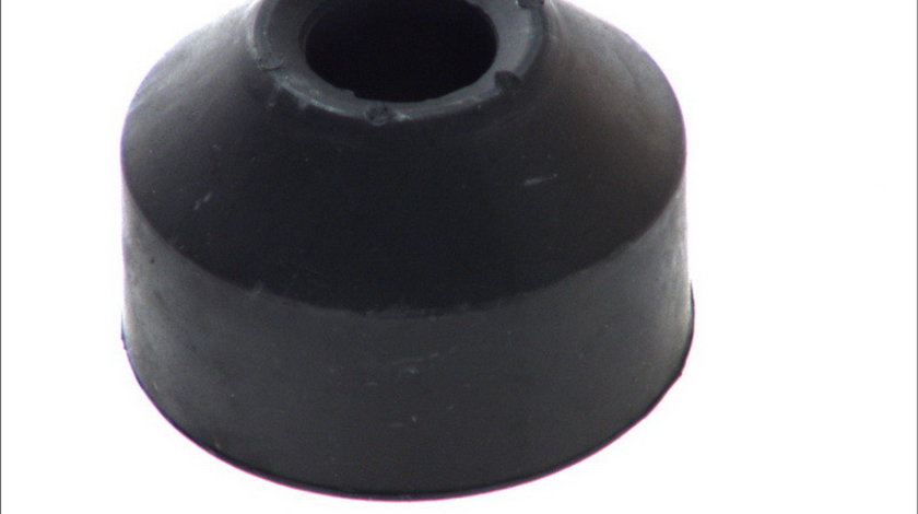 Suport radiator RENAULT TRUCKS C AUGER AUG57090