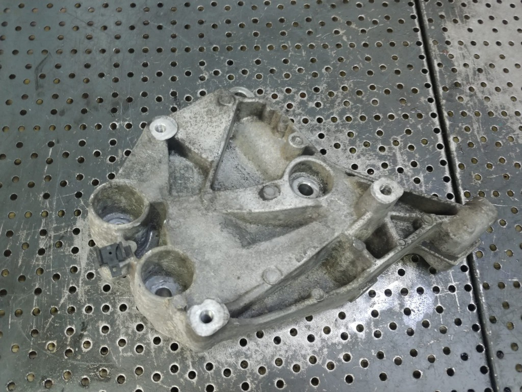 Suport rola accesorii 1.6 d multijet 198a2000 fiat bravo 2 55208165