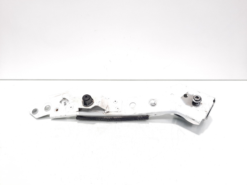 Suport trager stanga, Renault Megane 3 Combi (idi:530500)