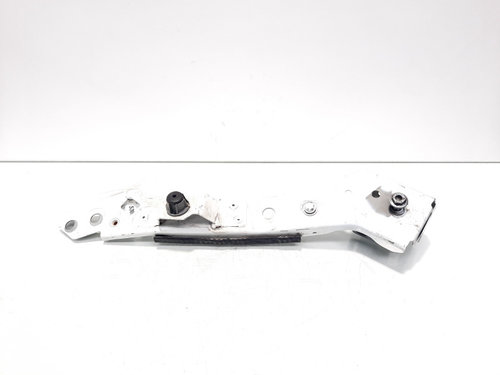 Suport trager stanga, Renault Megane 3 Combi (idi:530500)