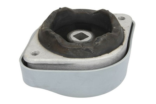 Suport, transmisie automata AUDI A4 Cabriolet (8H7, B6, 8HE, B7) (2002 - 2009) REINHOCH RH12-0028 pi...