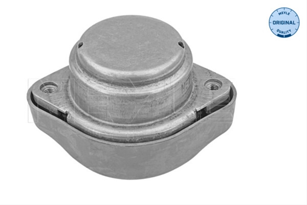 Suport, Transmisie Automata; Suport, Transmisie Manuala Meyle Vw 100 130 0011