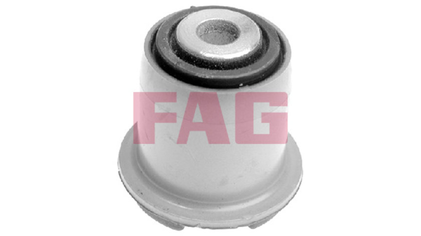 Suport,trapez punte fata (829007310 FAG) CHEVROLET,OPEL,VAUXHALL