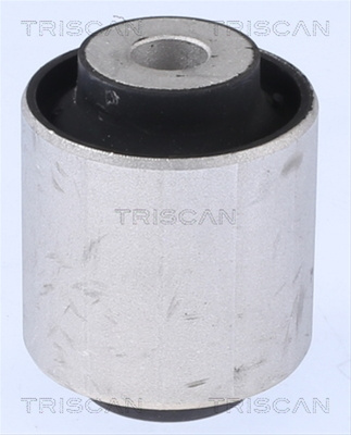 Suport Trapez Triscan Bmw 8500 118024