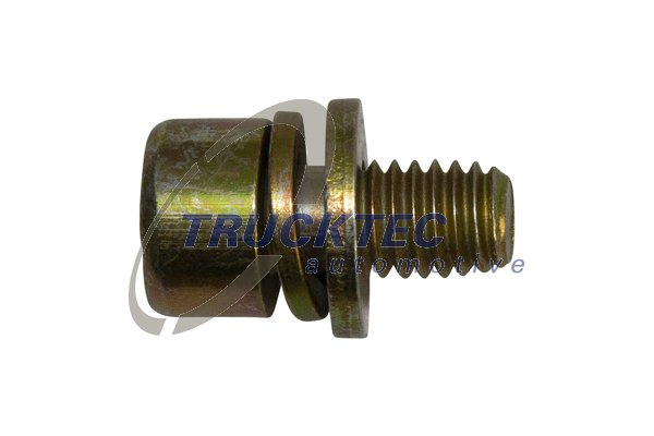 Surub (0267031 TRUCKTEC)