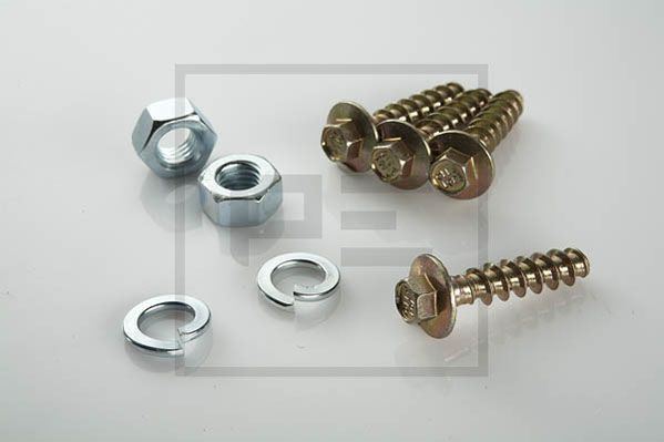 Surub (06510020A PETERS ENNEPETAL)
