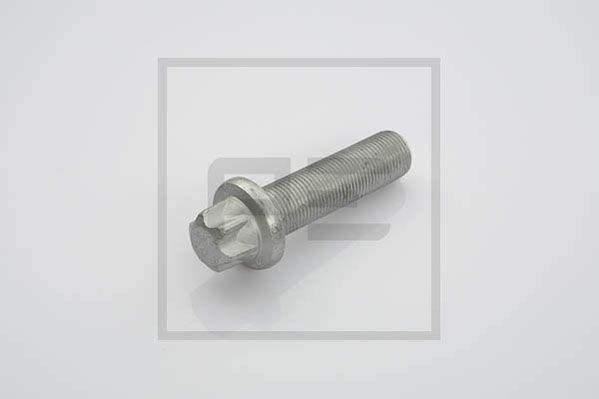 Surub (06624900A PETERS ENNEPETAL)