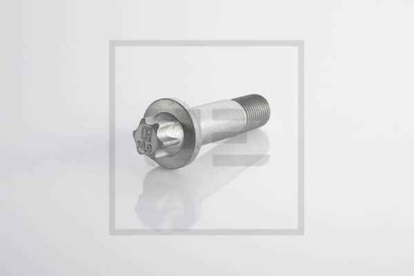Surub (29600300A PETERS ENNEPETAL)