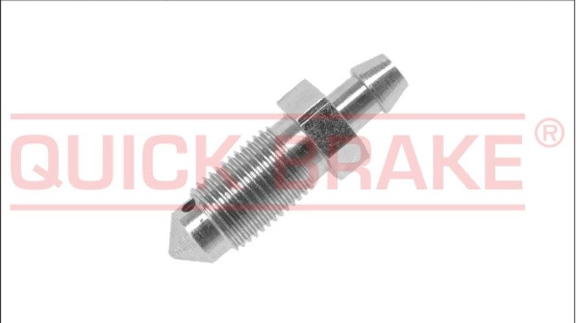 Surub aerisire, cilindru receptor frana punte fata (0019 QBK) ALFA ROMEO,AUDI,BMW,CHEVROLET,CHRYSLER,Citroen,CUPRA,DAEWOO,DODGE,FIAT,FORD,HONDA,HYUNDAI,JAGUAR,JEEP,KIA,LANCIA,LAND ROVER,LEXUS,MAZDA,ME