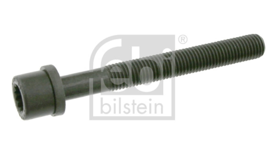 Surub chiulasa (06666 FEBI BILSTEIN) AUDI,SEAT,VW