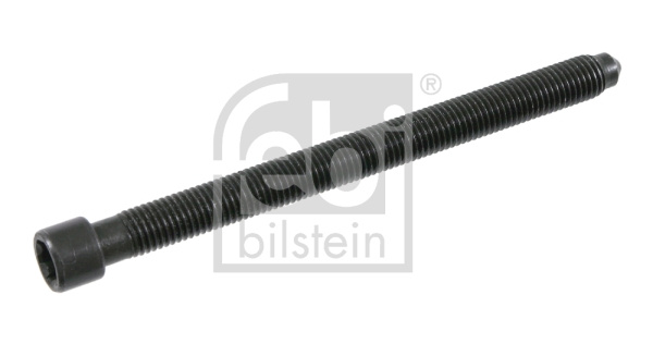 Surub chiulasa (21586 FEBI BILSTEIN) AUDI,SKODA,VW