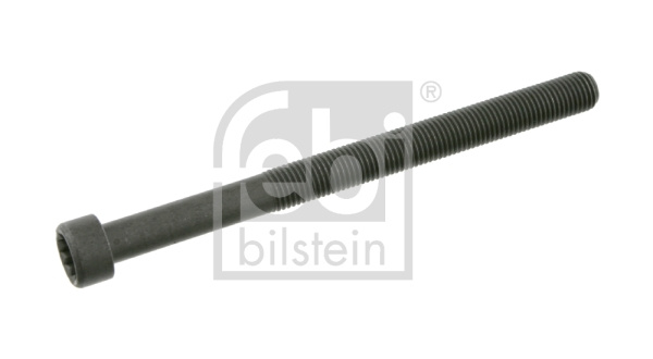 Surub chiulasa (26424 FEBI BILSTEIN) VW