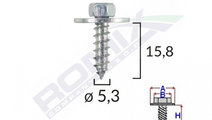 Surub Cu Saiba Ford Opel 5.5x19mm Set 10 Buc Romix...