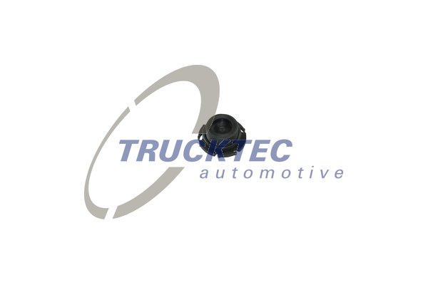 Surub de golire,baia de ulei (0818010 TRUCKTEC) BMW