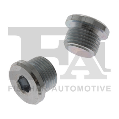 Surub De Golire,baia De Ulei; Dop Filetat Fa1 Bmw 257.814.001