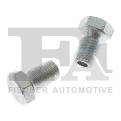 Surub De Golire,baia De Ulei Fa1 Bmw 768.920.001