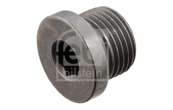 Surub De Golire,baia De Ulei Febi Bilstein Bmw 48896