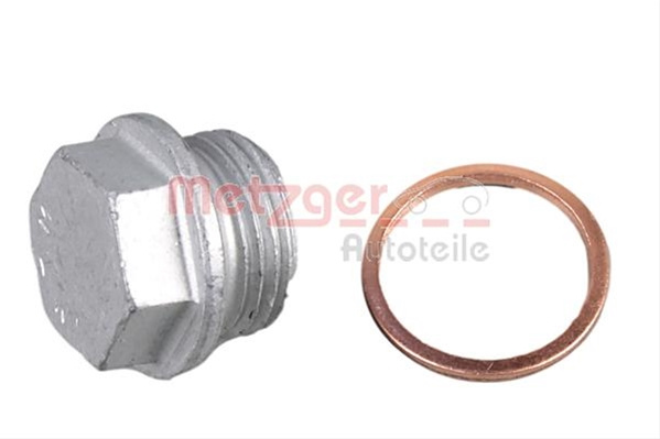 Surub De Golire Baia De Ulei Metzger Citroën 8030090