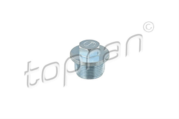 Surub De Golire,baia De Ulei Topran Audi 107 500