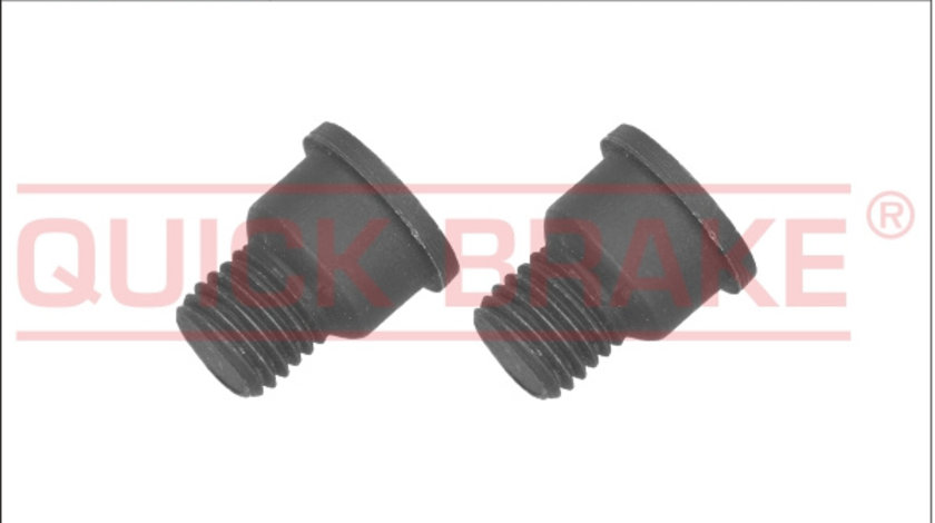 Surub, disc frana punte fata (11664K QBK) AUDI,MERCEDES-BENZ,PORSCHE,VW