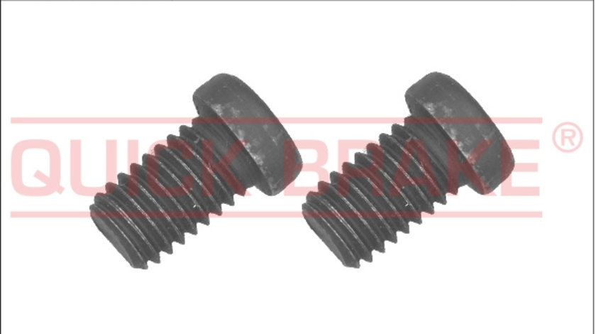 Surub, disc frana punte fata (11668K QBK) BMW