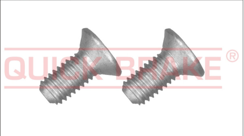 Surub, disc frana punte fata (11671K QBK) ABARTH,Citroen,DS,FIAT,HONDA,OPEL,PEUGEOT,PORSCHE,SMART,SUZUKI,TOYOTA,VAUXHALL