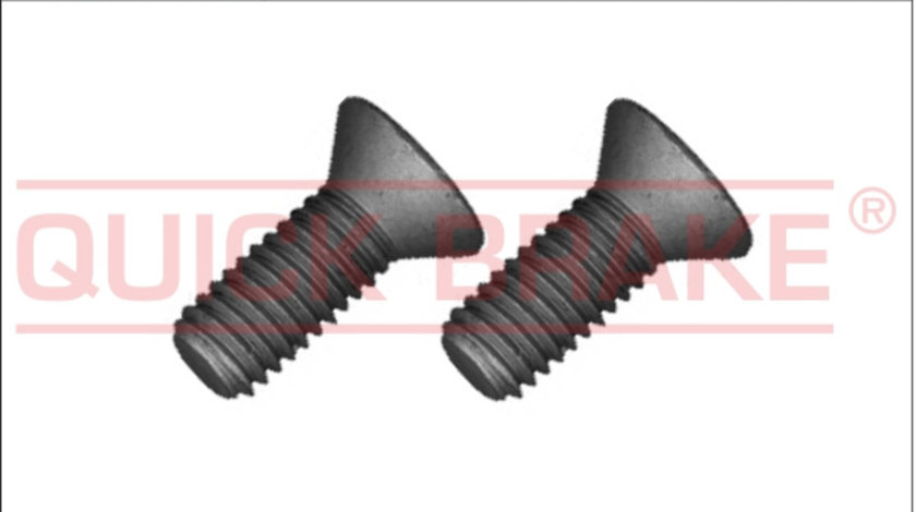 Surub, disc frana punte fata (11676K QBK) MERCEDES-BENZ,NISSAN,OPEL,RENAULT,VAUXHALL,VW