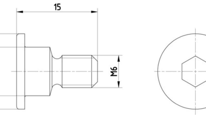 Surub, disc frana punte fata (TPM0001 TEXTAR) CHRYSLER,MERCEDES-BENZ,SSANGYONG