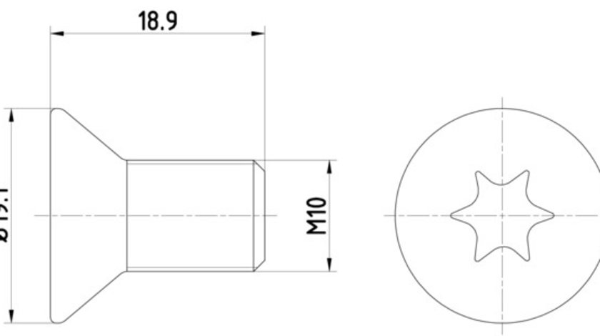 Surub, disc frana punte fata (TPM0010 TEXTAR) LAND ROVER,MINI