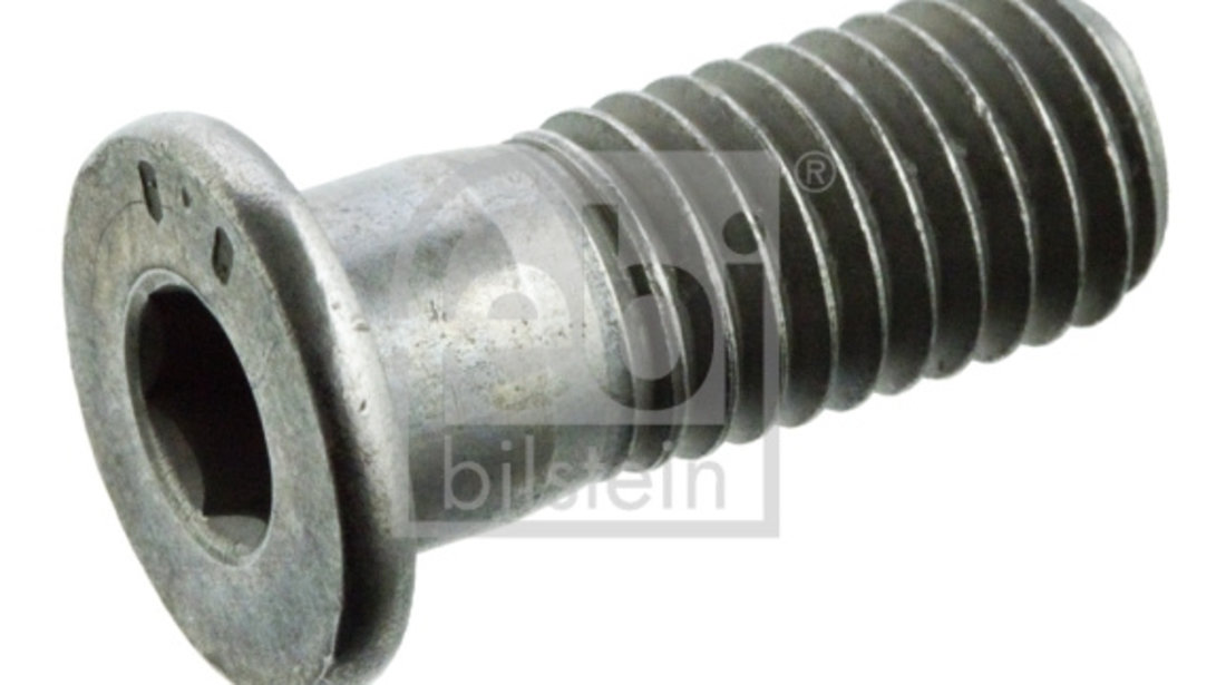 Surub, disc frana puntea spate (01893 FEBI BILSTEIN) SEAT,VW