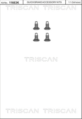 Surub Disc Frana Triscan Nissan 8105 116004
