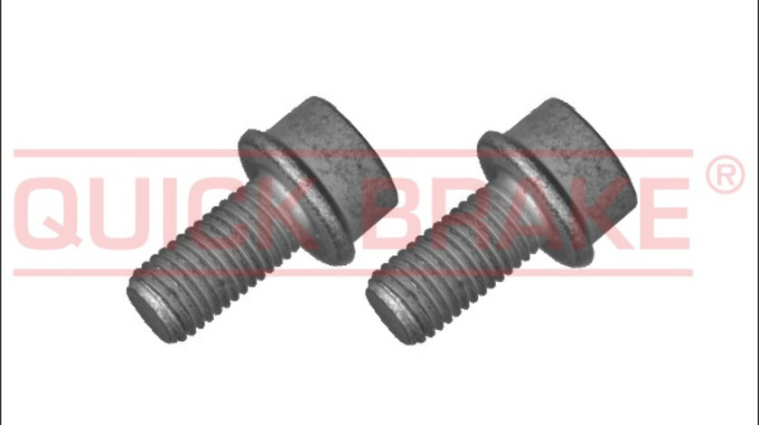 Surub, etrier puntea spate (11631K QBK) AUDI,MITSUBISHI,VW