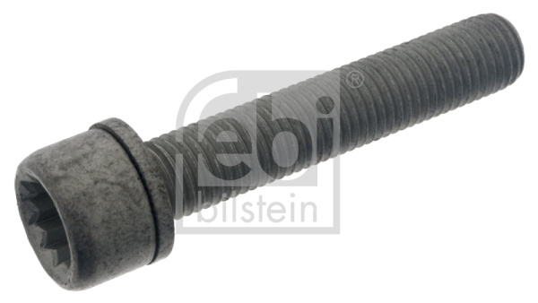 Surub, etrier puntea spate (48817 FEBI BILSTEIN) AUDI,SEAT,SKODA,VW
