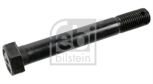 Surub Febi Bilstein Scania 09846