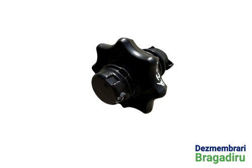 Surub fixare roata de rezerva Cod: 1K0803899D 1K0803899D Volkswagen VW Golf 6 [2008 - 2015] Hatchbac...
