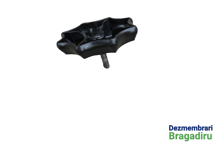 Surub fixare roata de rezerva Cod: 6Q0803899B Seat Ibiza 4 6J [2008 - 2012] Hatchback 5-usi 1.4 TDI MT (80 hp) Cod motor BMS