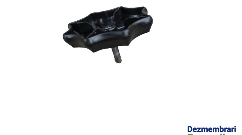 Surub fixare roata de rezerva Cod: 6Q0803899B Seat Ibiza 4 6J [2008 - 2012] Hatchback 5-usi 1.4 TDI MT (80 hp) Cod motor BMS