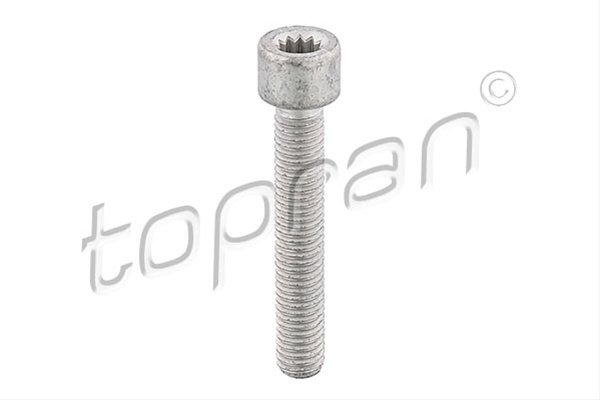 Surub,flansa Cardan Topran Seat 104 306