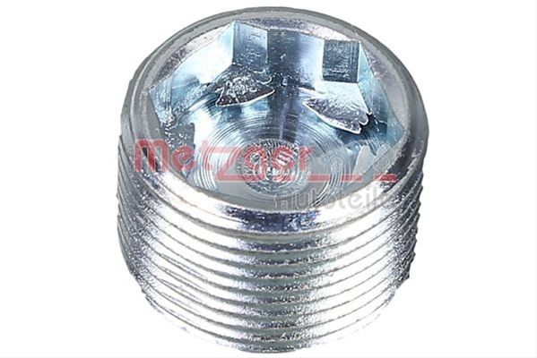 Surub Golire Carcasa Transmisie Metzger Audi 8030064