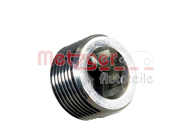 Surub Golire Carcasa Transmisie Metzger Citroen/Peugeot 8030011