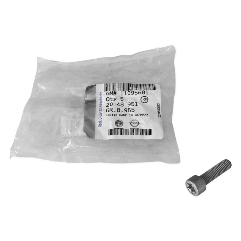 Surub Prindere Egr Oe Opel 11095681