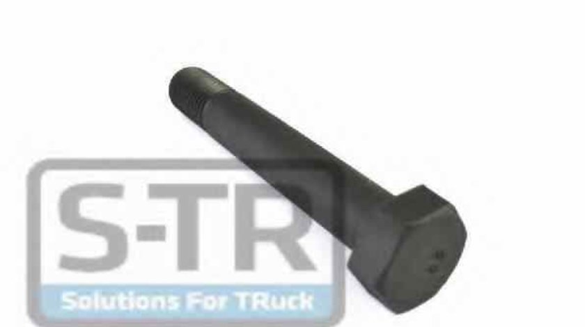 Surub Producator S-TR STR-60003