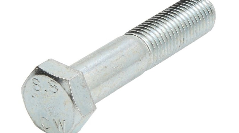 Surub S-TR STR-M20X2,5/100-1