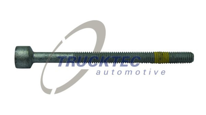 Surub, suport injector (0213101 TRUCKTEC) MERCEDES-BENZ,SMART