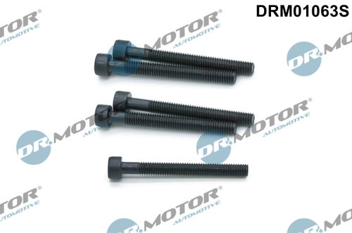 Surub, suport injector (DRM01063S DRM) VW