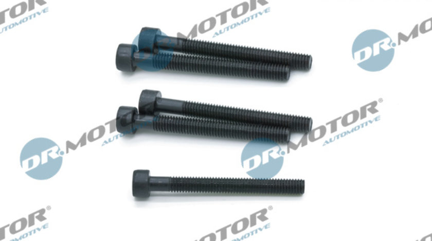 Surub, suport injector (DRM01063S DRM) VW