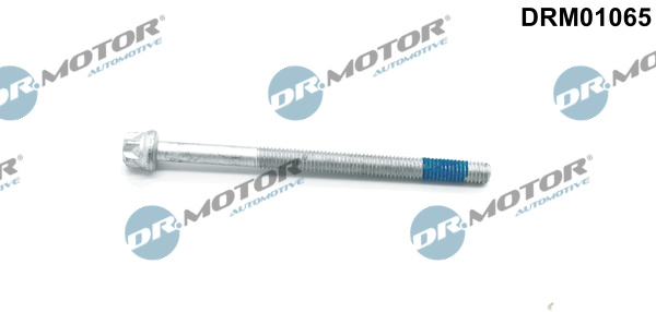Surub, suport injector (DRM01065 DRM) MERCEDES-BENZ