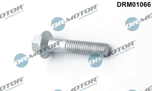 Surub, suport injector (DRM01066 DRM) FORD