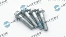 Surub, suport injector (DRM01066S DRM) FORD